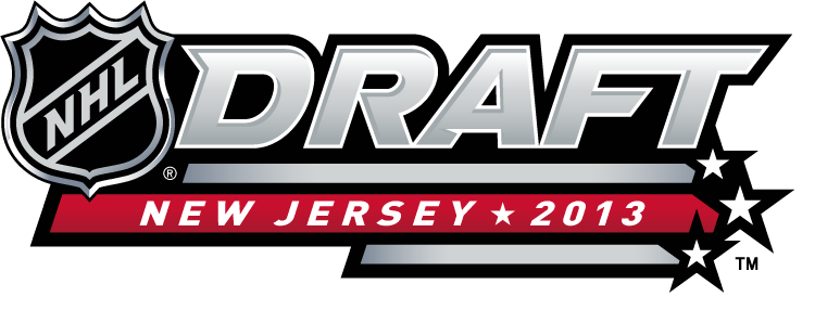 NHL Draft 2013 Alternate Logo DIY iron on transfer (heat transfer)